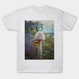 autumn fungal species T-Shirt